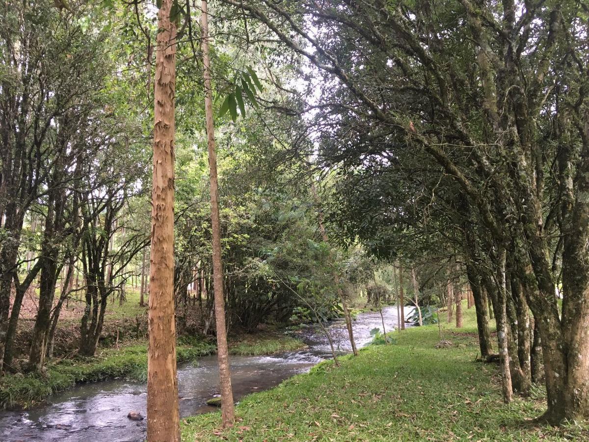 Cabana No Campo Caminho Do Salto Ventoso Фарропилья Экстерьер фото