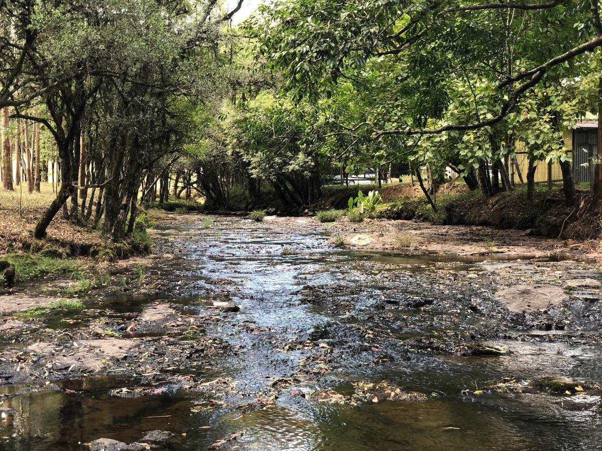 Cabana No Campo Caminho Do Salto Ventoso Фарропилья Экстерьер фото
